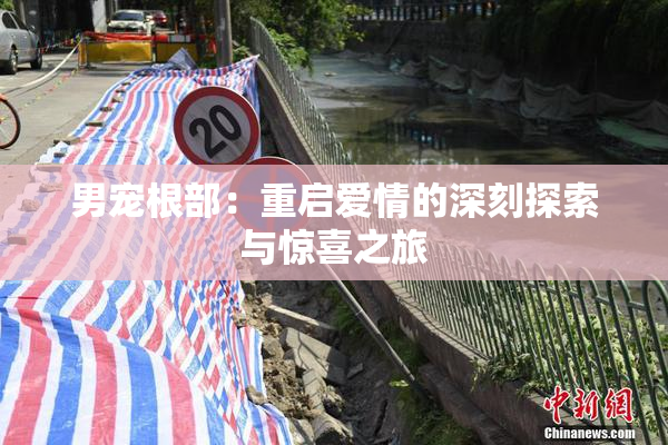 男宠根部：重启爱情的深刻探索与惊喜之旅