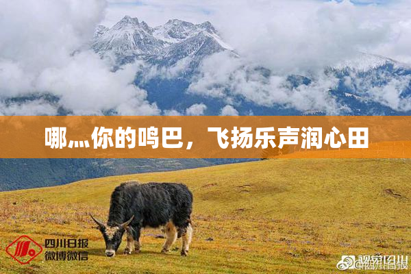 哪灬你的鸣巴，飞扬乐声润心田
