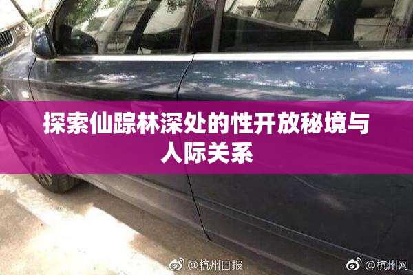 探索仙踪林深处的性开放秘境与人际关系