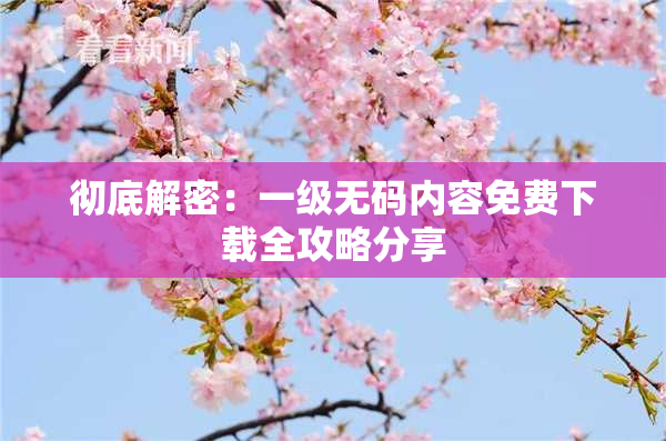彻底解密：一级无码内容免费下载全攻略分享