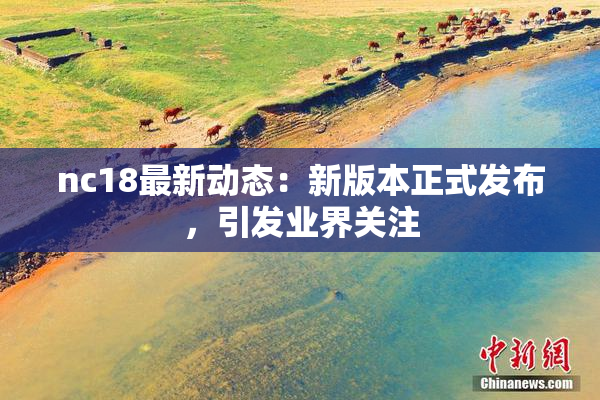 nc18最新动态：新版本正式发布，引发业界关注