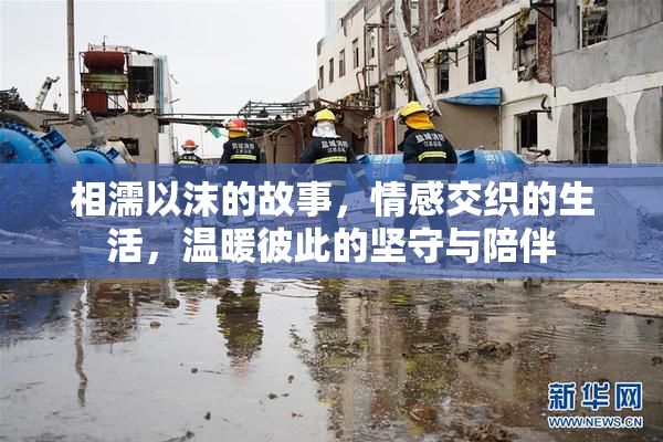 相濡以沫的故事，情感交织的生活，温暖彼此的坚守与陪伴