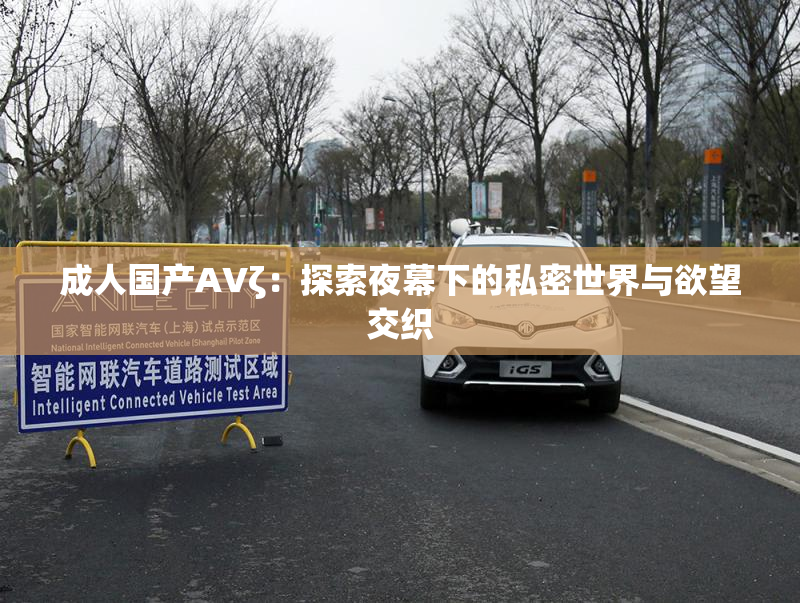 成人国产AVζ：探索夜幕下的私密世界与欲望交织