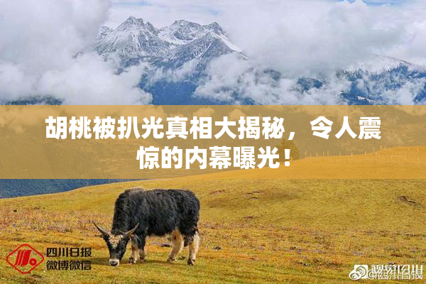胡桃被扒光真相大揭秘，令人震惊的内幕曝光！