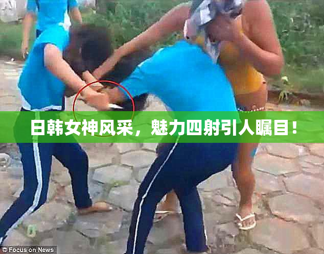 日韩女神风采，魅力四射引人瞩目！