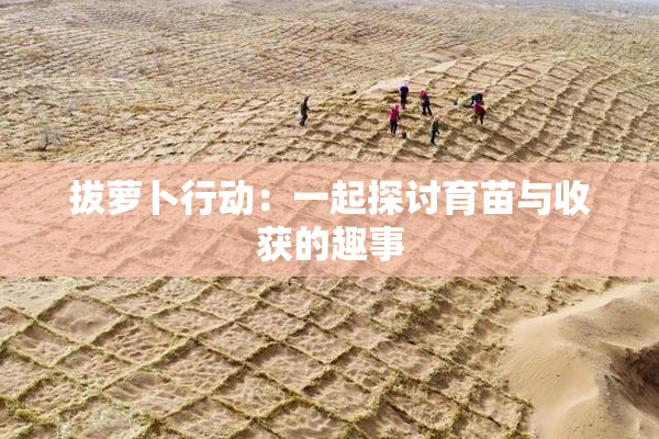 拔萝卜行动：一起探讨育苗与收获的趣事