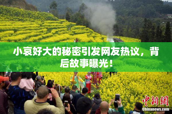 小哀好大的秘密引发网友热议，背后故事曝光！