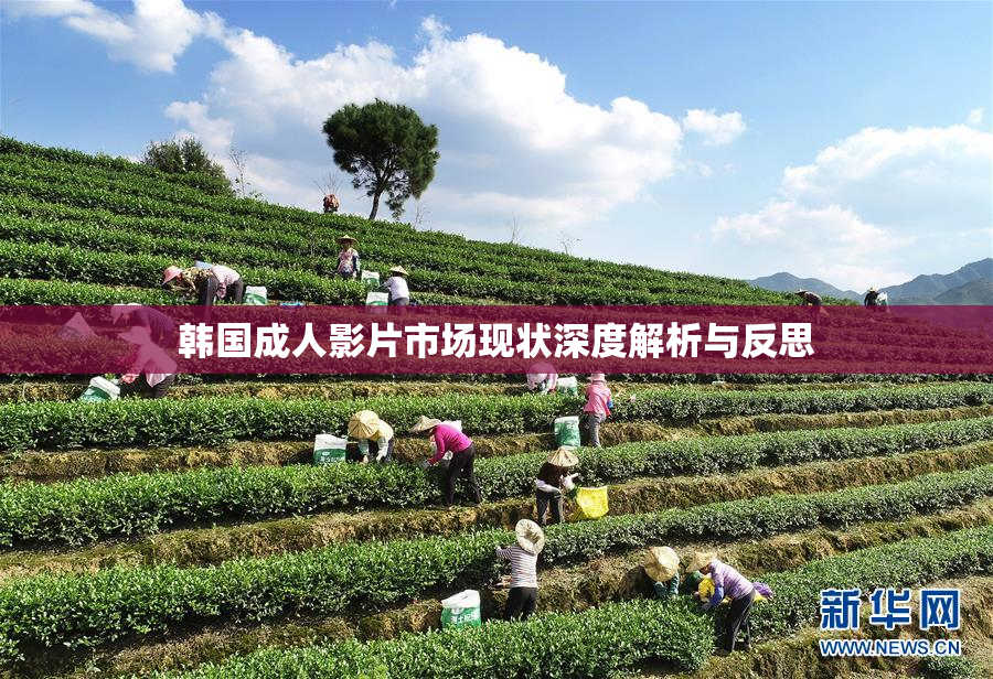 韩国成人影片市场现状深度解析与反思