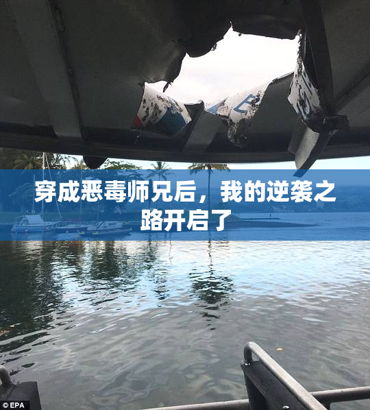 穿成恶毒师兄后，我的逆袭之路开启了