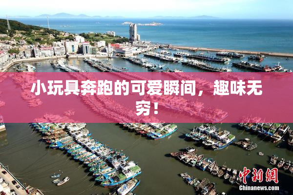 小玩具奔跑的可爱瞬间，趣味无穷！