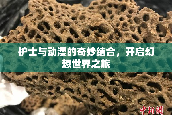 护士与动漫的奇妙结合，开启幻想世界之旅