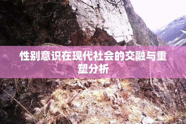 性别意识在现代社会的交融与重塑分析