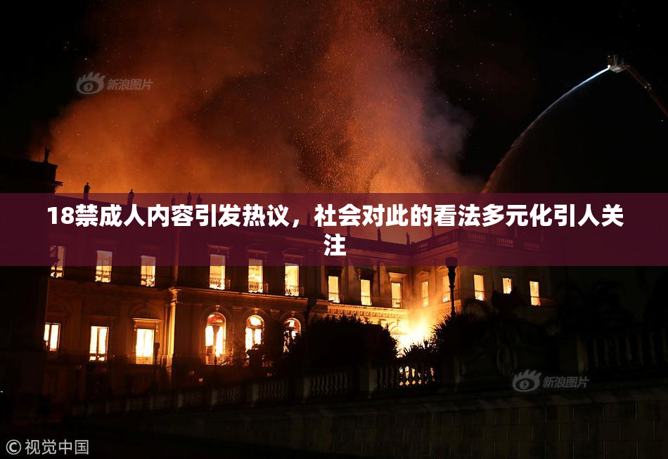 18禁成人内容引发热议，社会对此的看法多元化引人关注