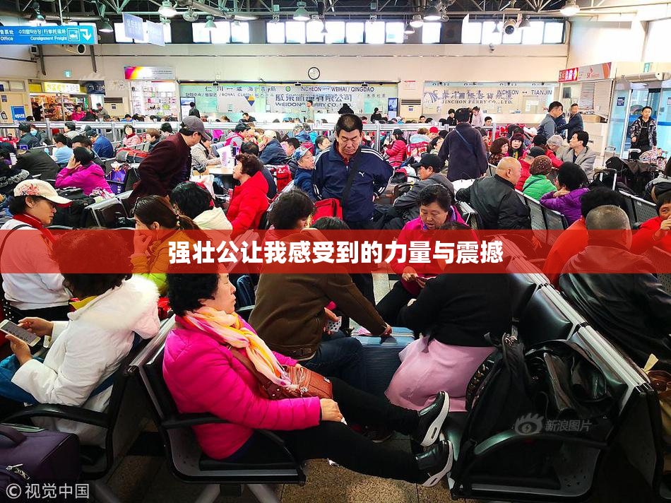 强壮公让我感受到的力量与震撼
