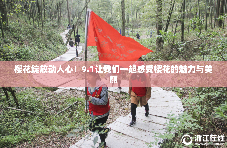 樱花绽放动人心！9.1让我们一起感受樱花的魅力与美丽