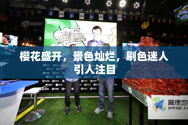 樱花盛开，景色灿烂，刷色迷人引人注目