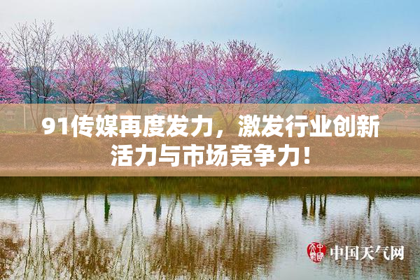 91传媒再度发力，激发行业创新活力与市场竞争力！