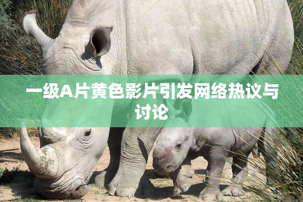 一级A片黄色影片引发网络热议与讨论