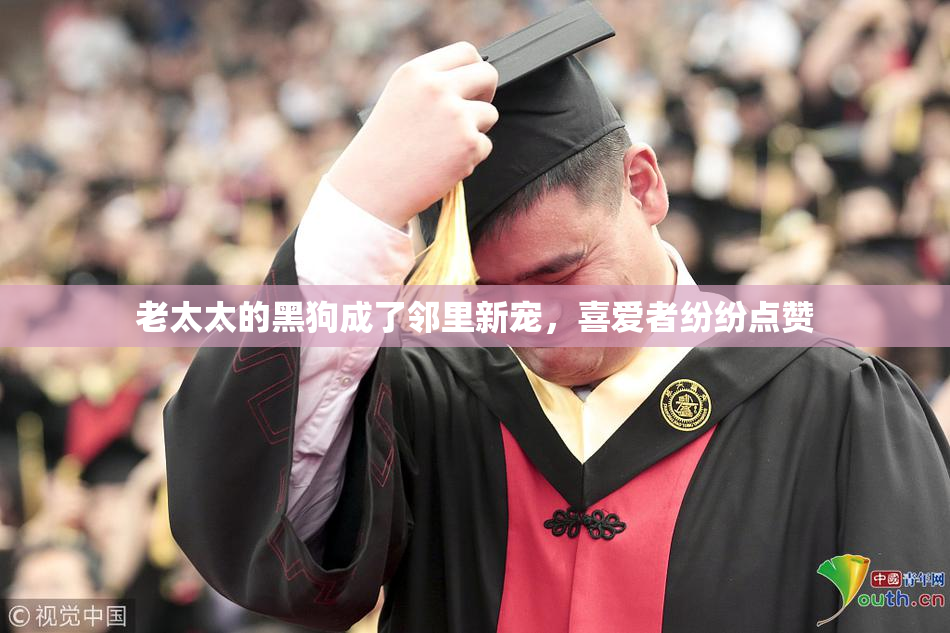 老太太的黑狗成了邻里新宠，喜爱者纷纷点赞