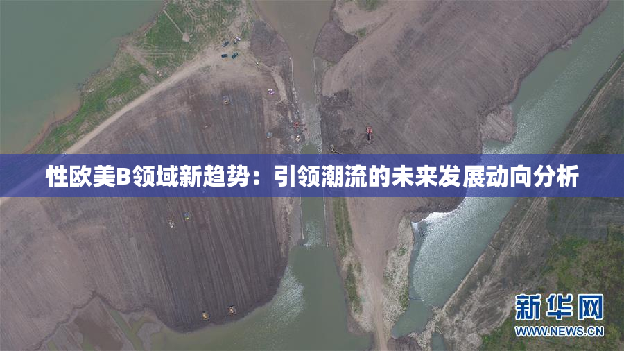 性欧美B领域新趋势：引领潮流的未来发展动向分析