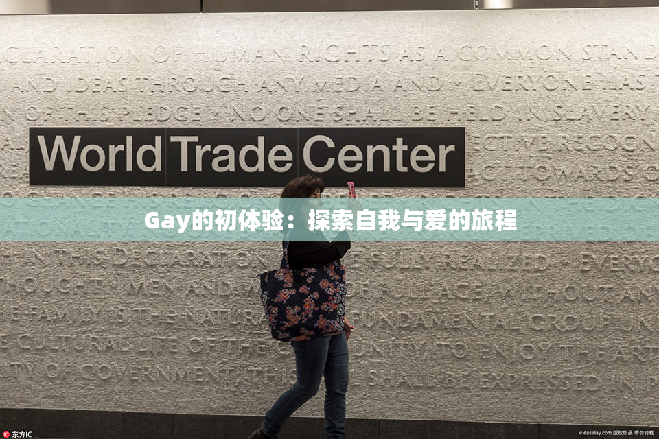 Gay的初体验：探索自我与爱的旅程