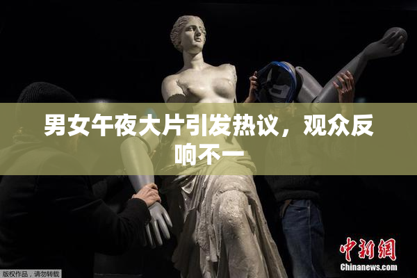 男女午夜大片引发热议，观众反响不一