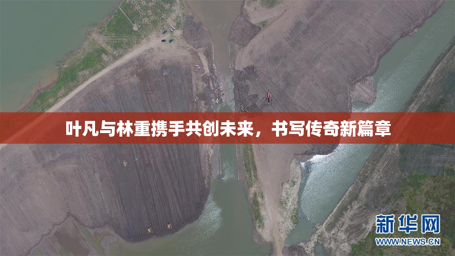 叶凡与林重携手共创未来，书写传奇新篇章