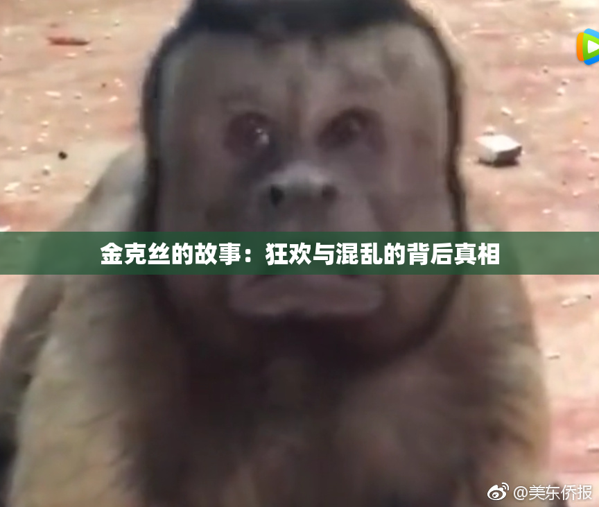 金克丝的故事：狂欢与混乱的背后真相