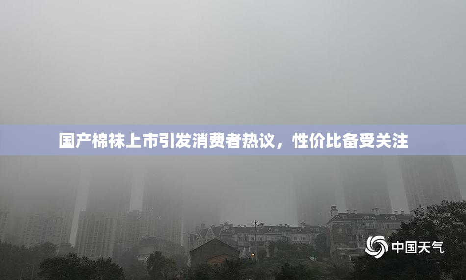国产棉袜上市引发消费者热议，性价比备受关注