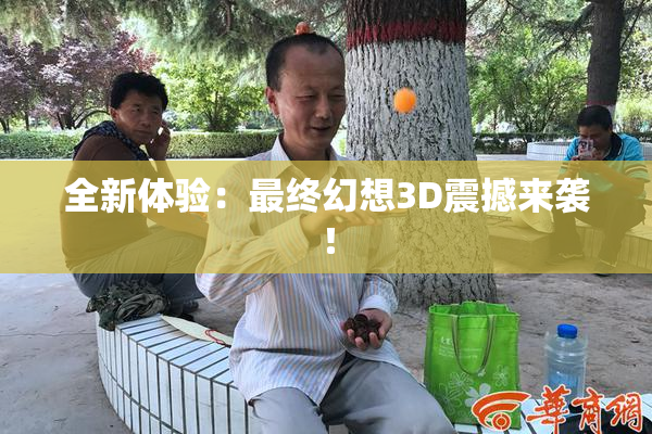 全新体验：最终幻想3D震撼来袭！