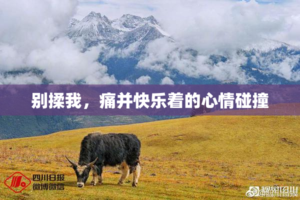 别揉我，痛并快乐着的心情碰撞