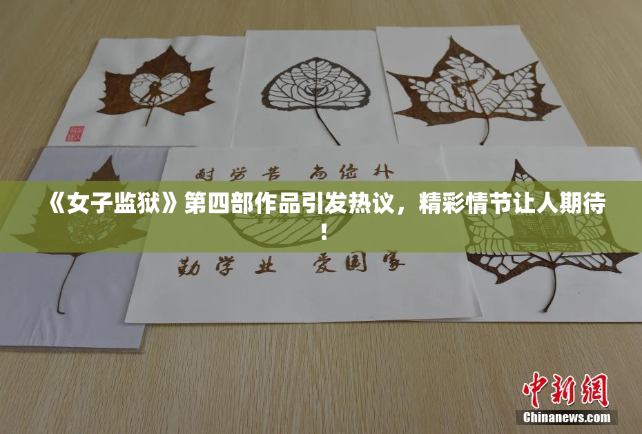 《女子监狱》第四部作品引发热议，精彩情节让人期待！