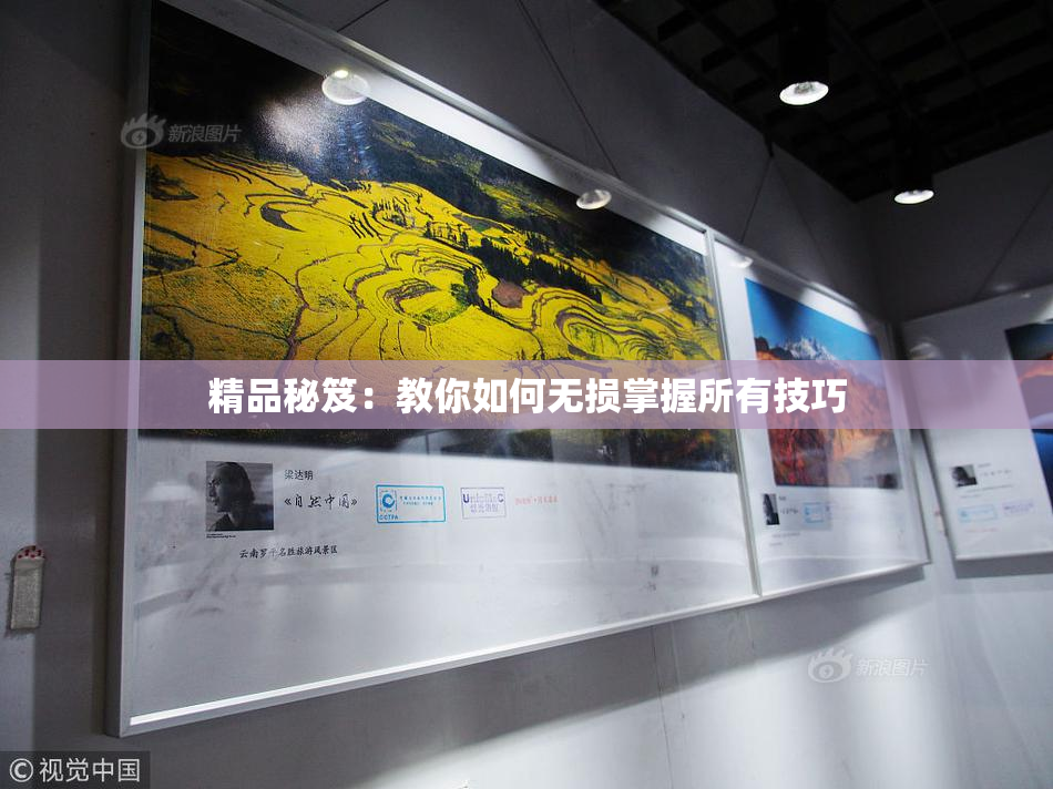 精品秘笈：教你如何无损掌握所有技巧