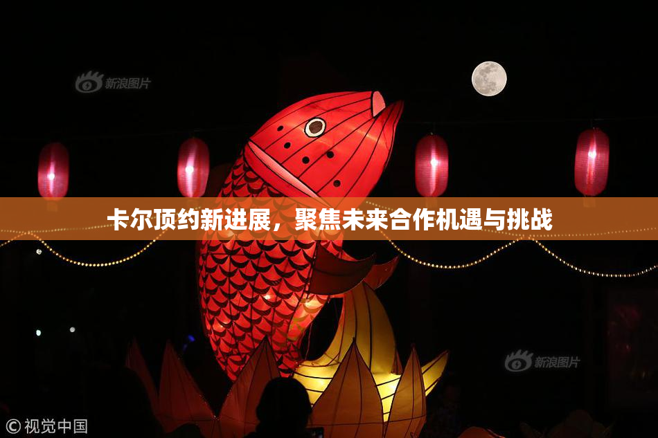 卡尔顶约新进展，聚焦未来合作机遇与挑战