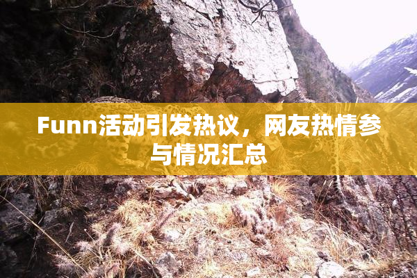 Funn活动引发热议，网友热情参与情况汇总