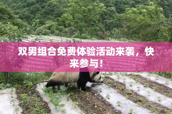 双男组合免费体验活动来袭，快来参与！