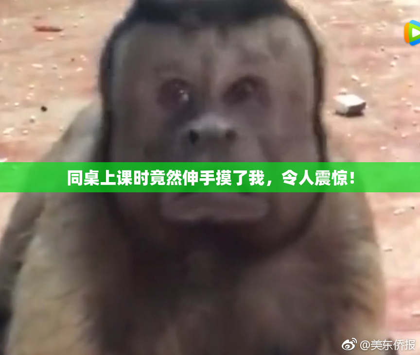 同桌上课时竟然伸手摸了我，令人震惊！