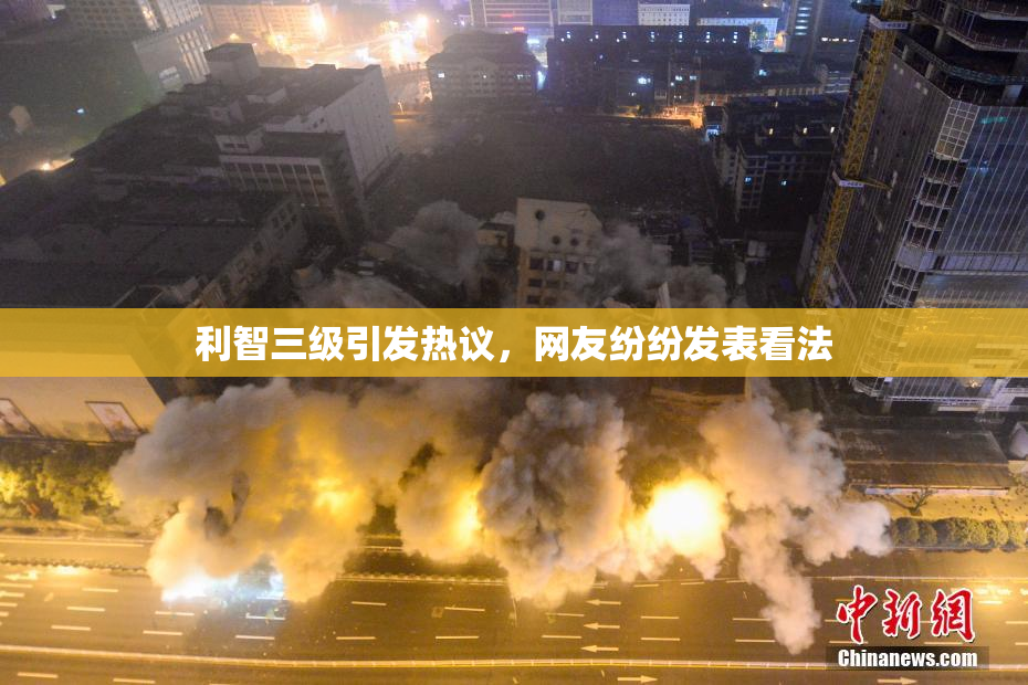 利智三级引发热议，网友纷纷发表看法