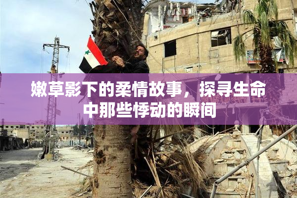 嫩草影下的柔情故事，探寻生命中那些悸动的瞬间