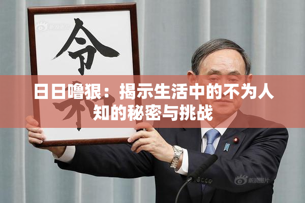 日日噜狠：揭示生活中的不为人知的秘密与挑战
