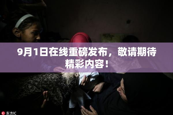 9月1日在线重磅发布，敬请期待精彩内容！