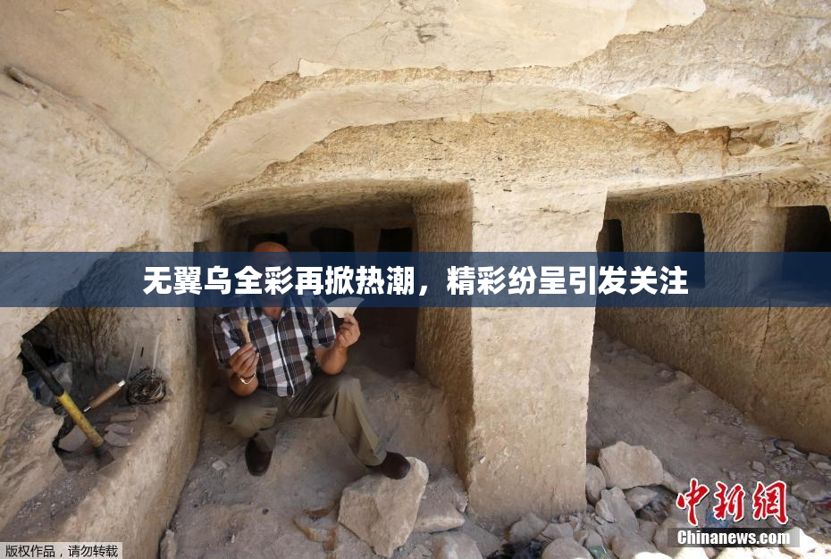 无翼乌全彩再掀热潮，精彩纷呈引发关注