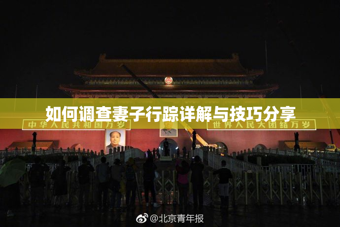 如何调查妻子行踪详解与技巧分享