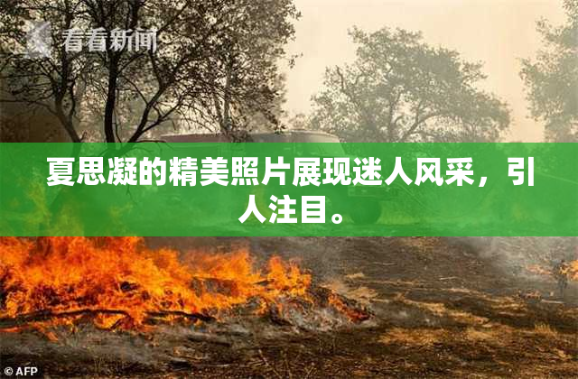 夏思凝的精美照片展现迷人风采，引人注目。