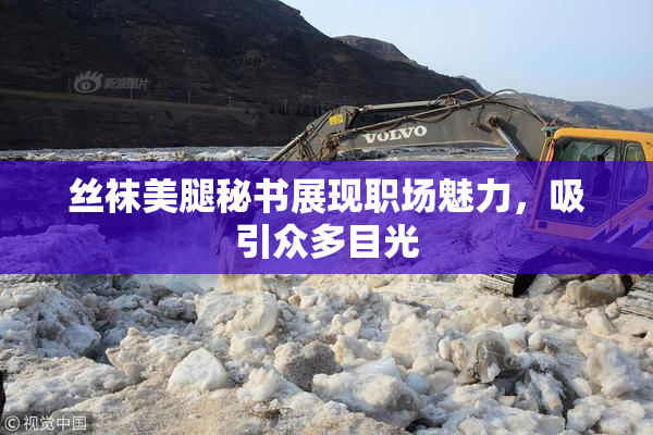 丝袜美腿秘书展现职场魅力，吸引众多目光