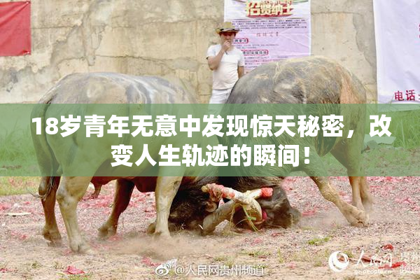 18岁青年无意中发现惊天秘密，改变人生轨迹的瞬间！