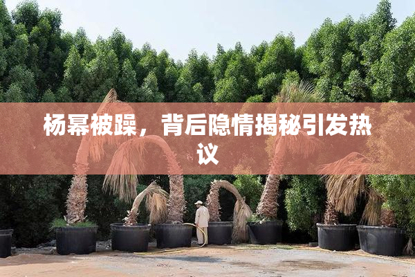 杨幂被躁，背后隐情揭秘引发热议