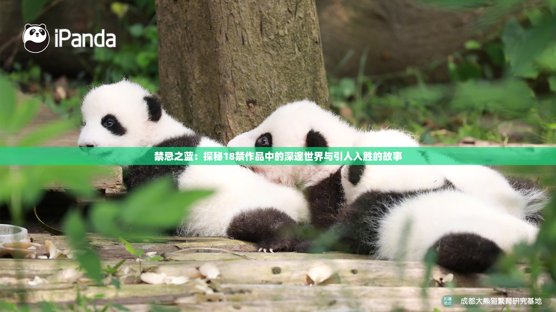 禁忌之蓝：探秘18禁作品中的深邃世界与引人入胜的故事