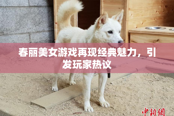 春丽美女游戏再现经典魅力，引发玩家热议