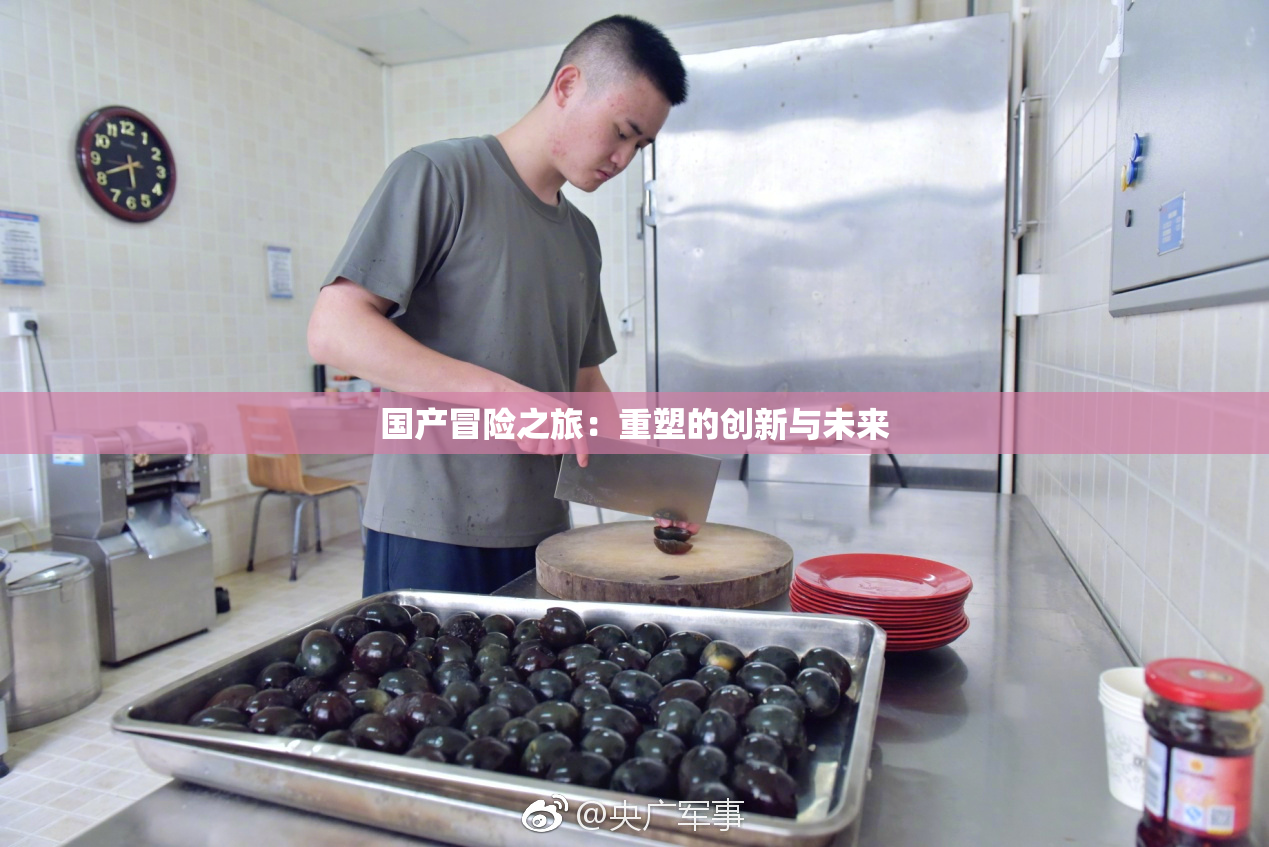 国产冒险之旅：重塑的创新与未来